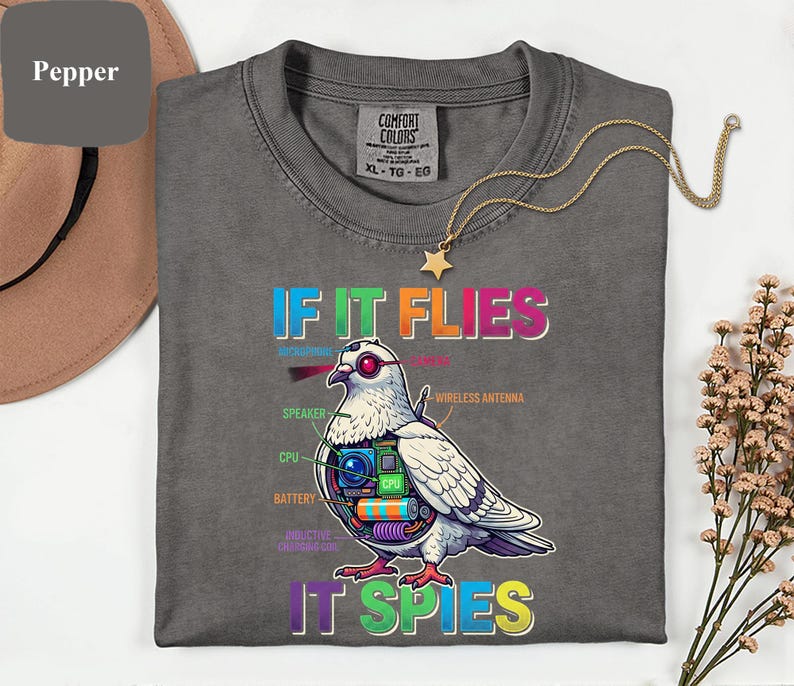 May include: Pepper-colored Comfort Colors t-shirt with the text "IF IT FLIES IT SPIES" and a graphic of a pigeon with tech components. A gold star pendant necklace is draped on the shirt.