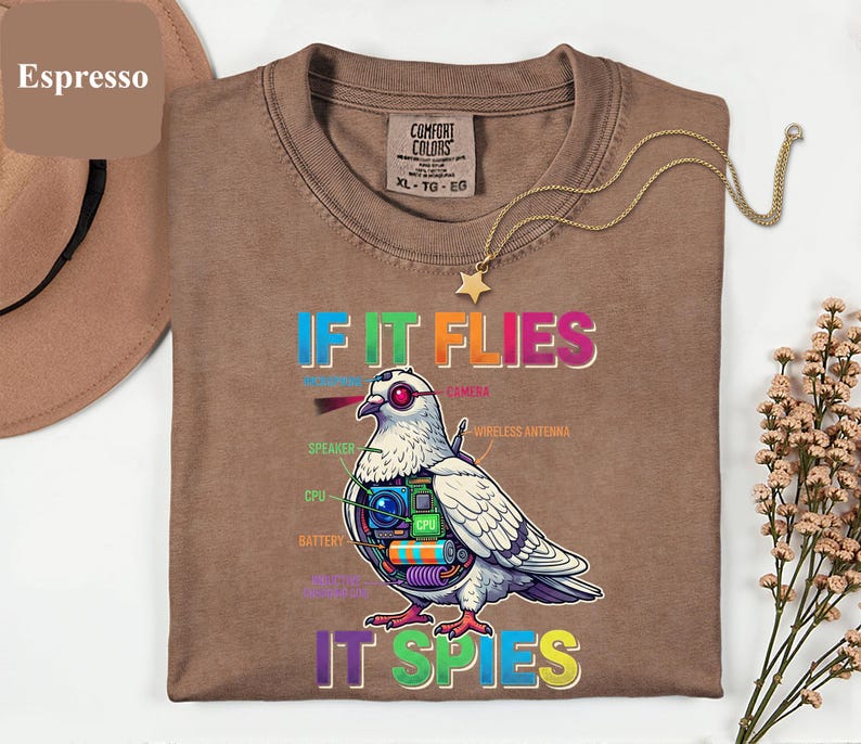 May include: Espresso-colored Comfort Colors t-shirt with a graphic of a pigeon with tech components and the text "IF IT FLIES IT SPIES". A gold star pendant necklace rests on the shirt. The shirt is size XL-TG-EG.