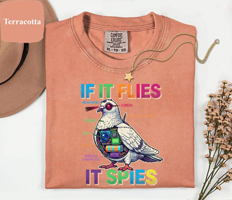 May include: Terracotta-colored t-shirt with the text "IF IT FLIES IT SPIES" and a graphic of a pigeon with spy gadgets. The shirt has a crew neck and a Comfort Colors tag. A gold necklace with a star pendant is draped on the shirt.