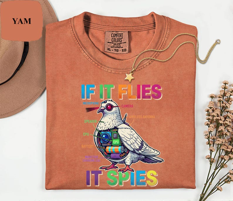 May include: A rust-colored t-shirt with the text "IF IT FLIES IT SPIES" and a graphic of a pigeon with tech components. The shirt has a crew neck and a tag that says "COMFORT COLORS". A gold necklace with a star pendant is also visible.