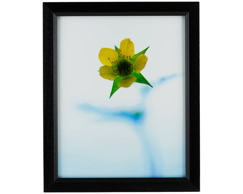 11x15 Inch Black Picture Frame Economy 1 Wide Craig Frames 7171610BK1115