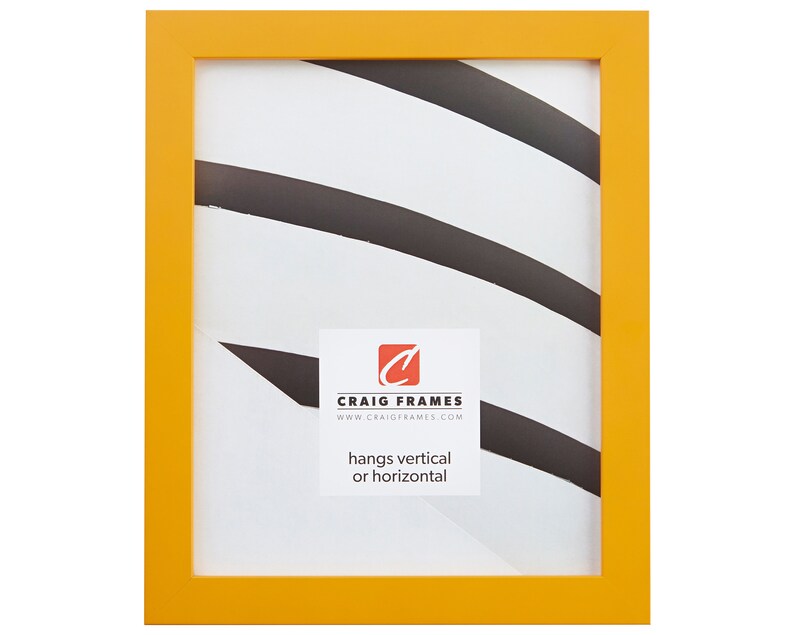 .875 Wide 35 Common Sizes Craig Frames Confetti Modern Yellow Picture