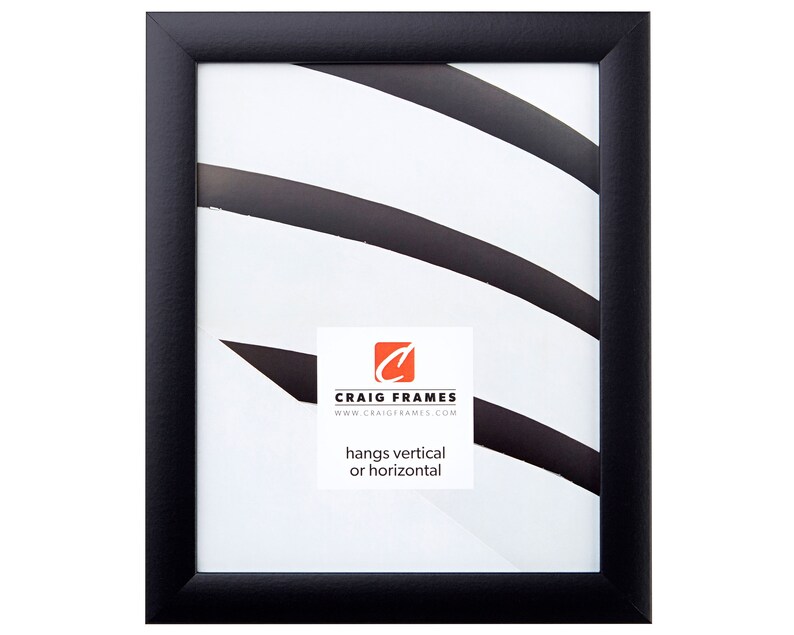 Craig Frames 24x30 Inch Modern Black Picture Frame Image 0