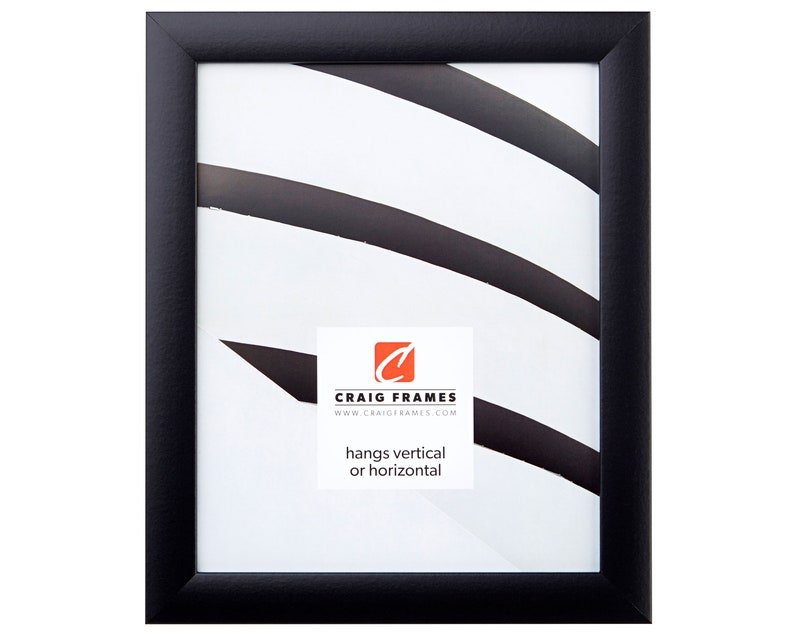 Craig Frames 16x24 Inch Modern Black Picture Frame Image 0
