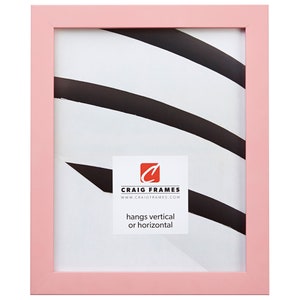 Confetti, Modern Light Pink Picture Frame, .875&quot; Wide, 70 Sizes (140645) Craig Frames