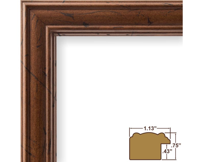 Tremont 1.125 Wide Craig Frames 12x16 Inch Dark Walnut Brown Picture Frame 716165831216