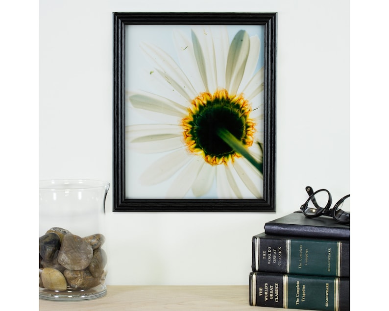Ebony Black Solid Wood Picture Frame Craig Frames Wiltshire 200 70 Uncommon Sizes 200ASHBK .75 Wide