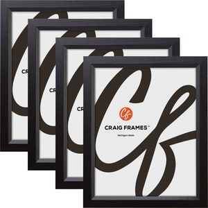 Economy, Ebony Black Hardwood Picture Frame, .875&quot; Wide, Set of Four, 60 Common Sizes With Acrylic Facing (7171610BK) Craig Frames Thin Set