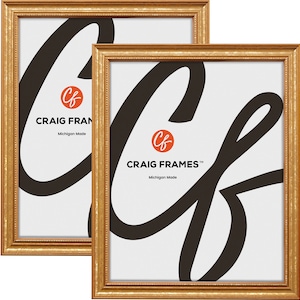 May include: Two gold picture frames with a simple, ornate design. The frames are made by Craig Frames, a company based in Michigan.