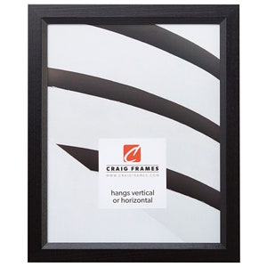 Economy, 20x27 Ebony Black Hardwood Picture Frame, .875&quot; Wide (7171610BK2027), Craig Frames, Black Picture Frame, Thin Stained Black Frame