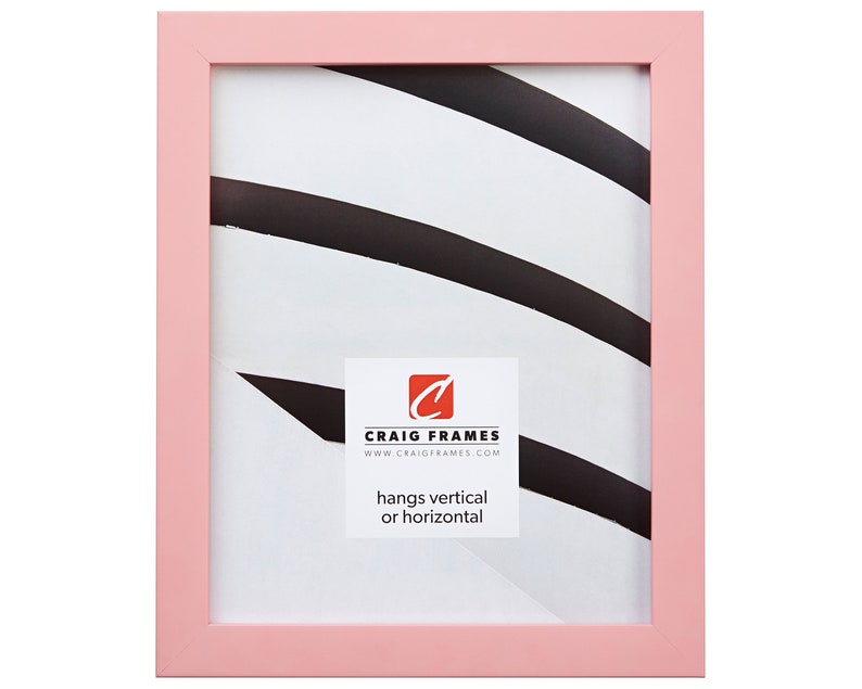 Download 11x17 Inch Modern Light Pink Picture Frame 1406451117 Craig Frames 875 Wide Confetti Craft Supplies Tools Photography Safarni Org