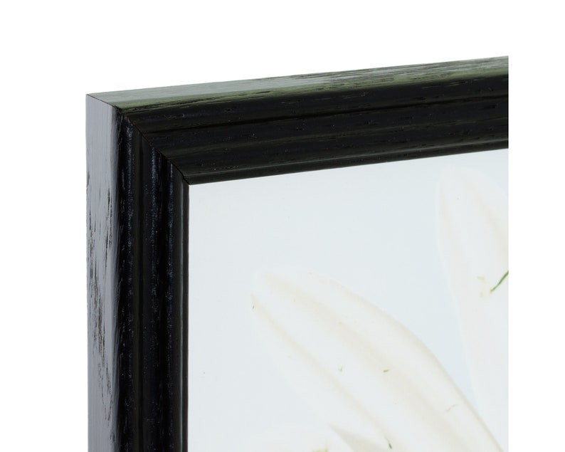 Ebony Black Solid Wood Picture Frame Craig Frames Wiltshire 200 70 Uncommon Sizes 200ASHBK .75 Wide