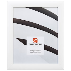Pu&ograve; includere: Una cornice rettangolare bianca con un bordo bianco. La cornice contiene uno sfondo bianco con strisce diagonali nere. Un'etichetta bianca con il testo "CRAIG FRAMES" e "hangs vertical or horizontal" &egrave; in basso al centro.