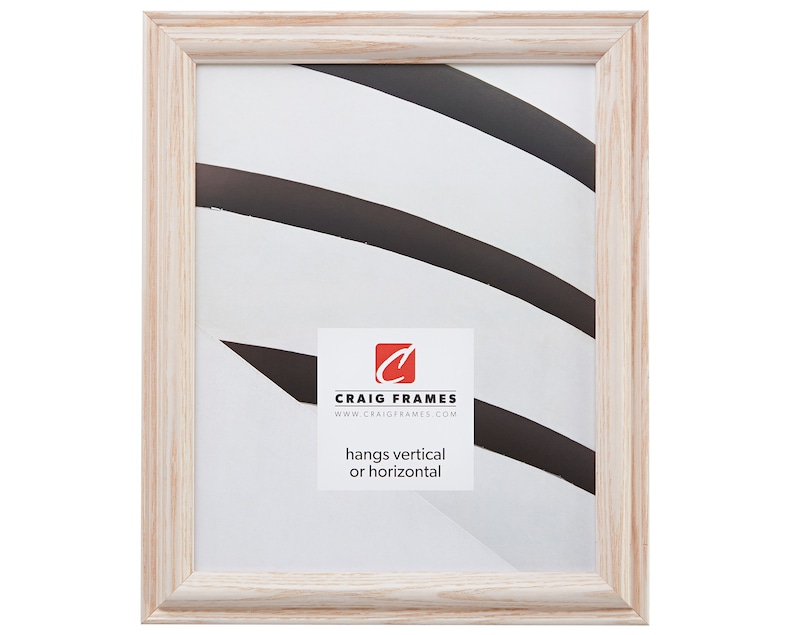 Craig Frames 20x24 Inch Whitewashed Wood Picture Frame Wiltshire 130 130ASHWW2024