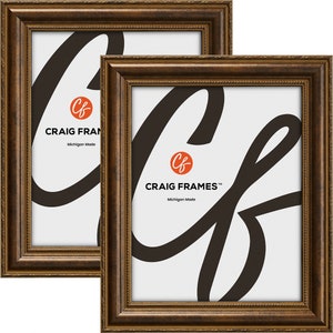 Pu&ograve; includere: Due cornici per foto marroni con un design decorativo ornato. Le cornici sono realizzate da Craig Frames, Michigan Made.