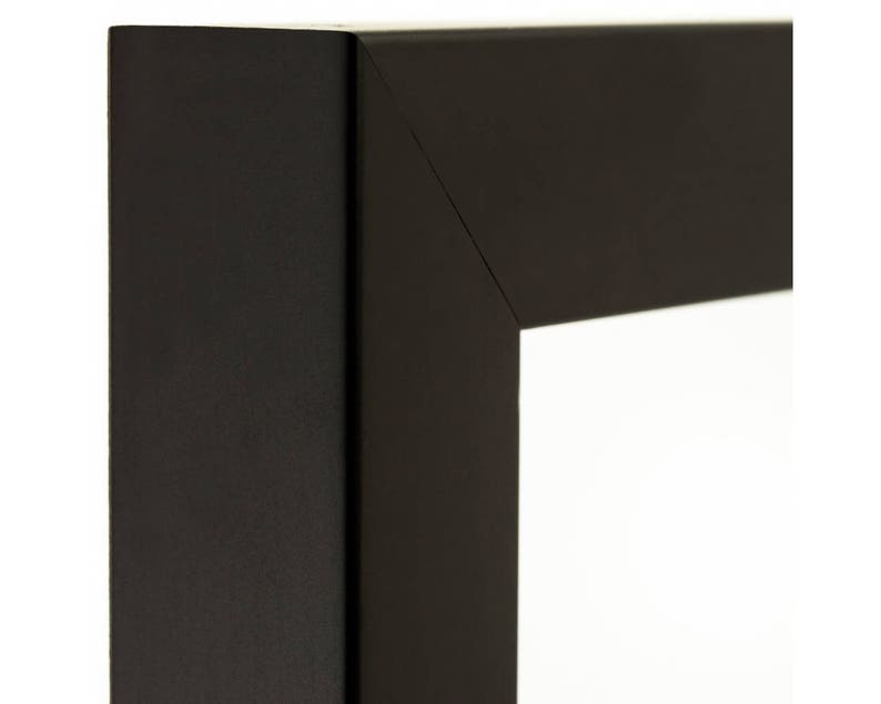 Craig Frames Confetti .875 Wide 24x30 Inch Modern Black Picture Frame 1406522430