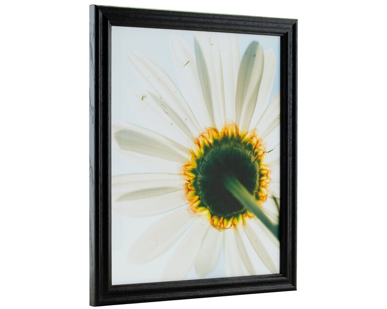 200ASHBK2228 Wiltshire 200 Craig Frames .75 Wide 22x28 Inch Black Solid Wood Picture Frame