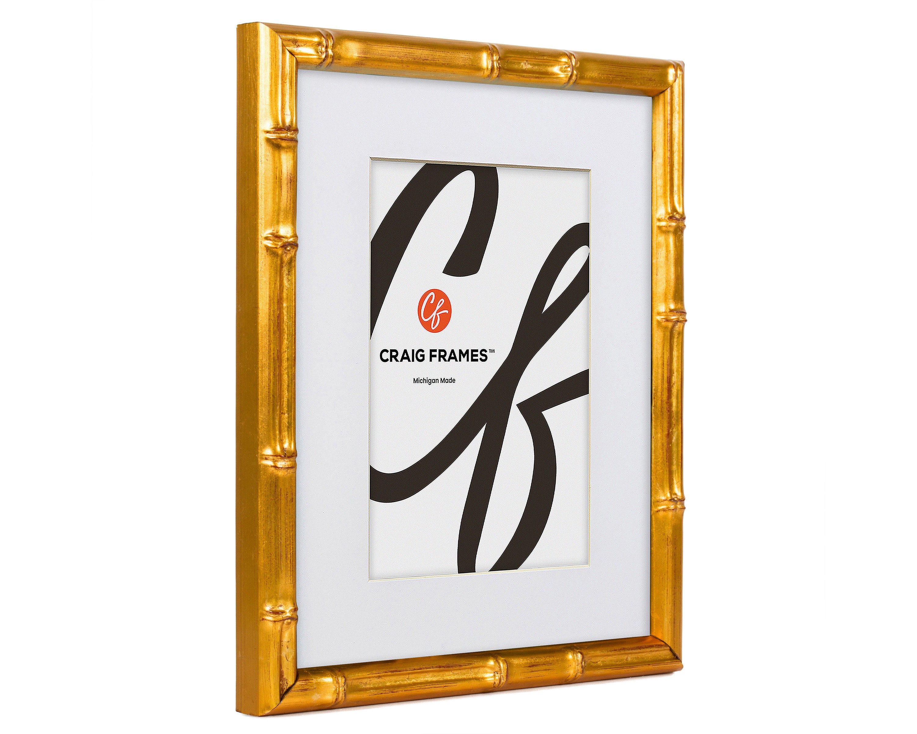 Craig Frames Contemporary, 20 X 24 Pulgadas, Marco Negro Mate Para Mostrar Una Foto De 16 X 20 Pulgadas, Juego De 4