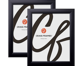 Modern Black Picture Frame Set, 1" Wide, Craig Frames