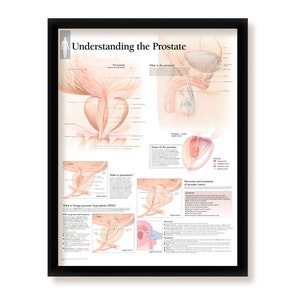 May include: A medical illustration poster titled "Understanding the Prostate" with detailed anatomical diagrams of the prostate gland, its zones, and the surrounding organs. The poster also includes information about prostate cancer, its detection, and treatment.