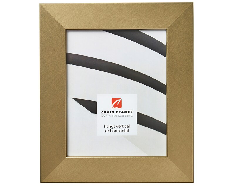 22x28 Inch Modern Brushed Gold Picture Frame Craig Frames Bauhaus 200 744462228