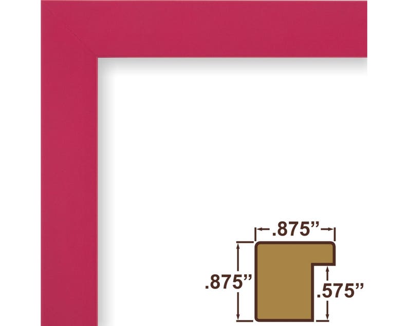 Craig Frames 20x24 Inch Modern Raspberry Pink Picture Frame 1406472024 Confetti .875 Wide