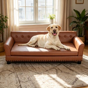 May include: A brown leather dog sofa with button tufting and nailhead trim. A yellow Labrador Retriever is lying on the sofa, looking at the camera. The sofa is in a well-lit room with a window and plants.