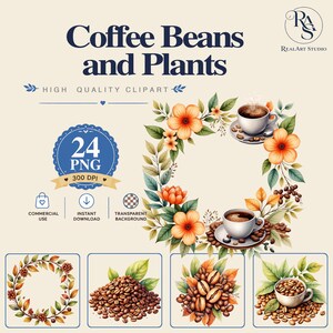 Coffee Beans and Plants PNG Bundle, plant png, clipart png, botanical png, Watercolor PNG Commercial Use Digital Download