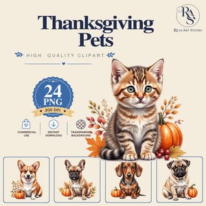 May include: A digital clipart set titled Thanksgiving Pets featuring a tabby kitten, a corgi, a French bulldog, a dachshund, and a pug. Each animal is surrounded by autumn leaves and pumpkins. The text includes Thanksgiving Pets, 24 PNG, 300 DPI, and RealArt Studio.