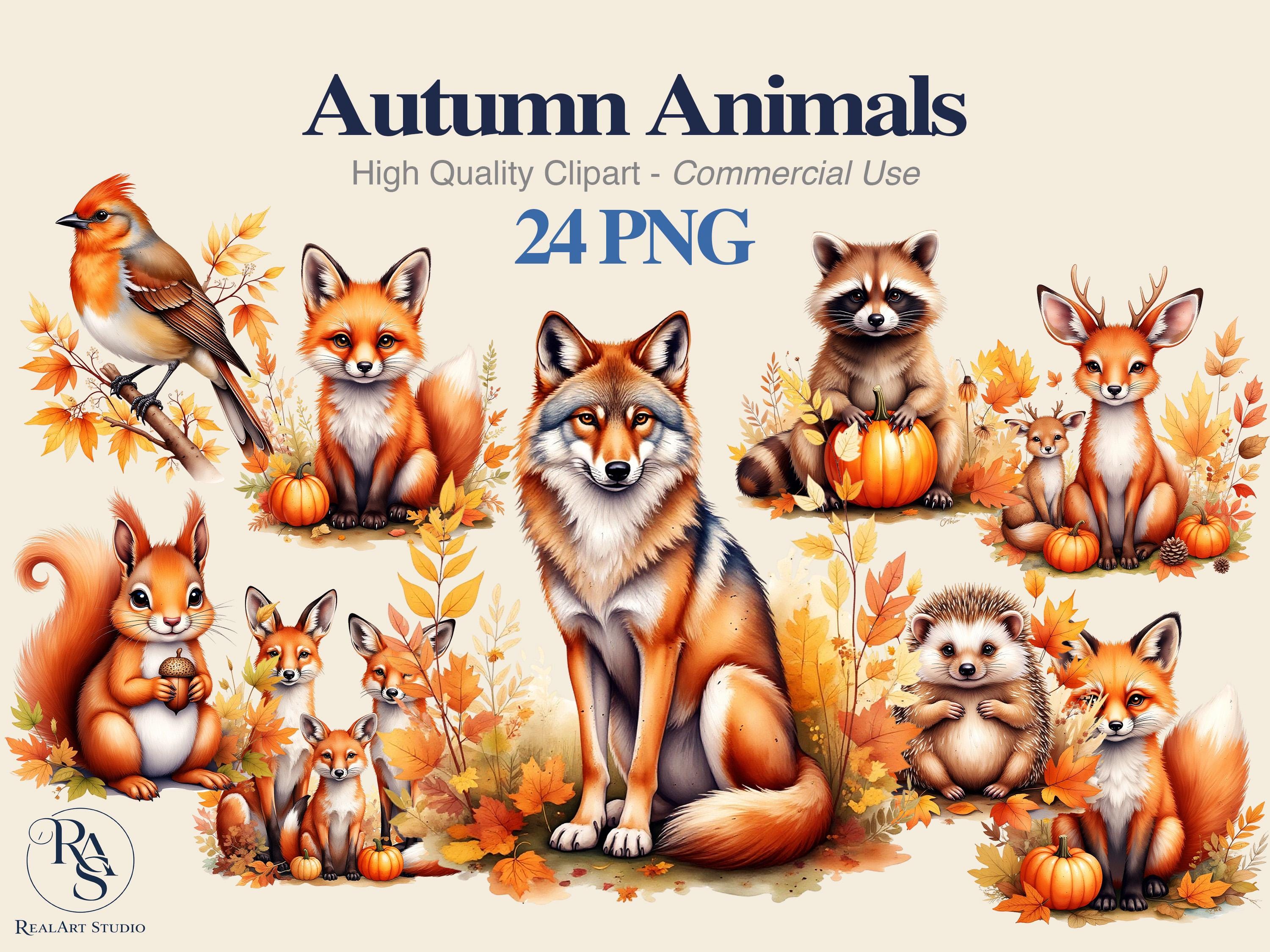 Autumn Animals PNG Bundle, Fall Png, Woodland Png, Animal Png ...