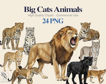 その他 Big Cats Collection [DVD] Amazon.com: Nature: Big Cats : Movies & TV