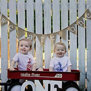 We Are One Twins First Birthday Decor Triplets Birthday image 3