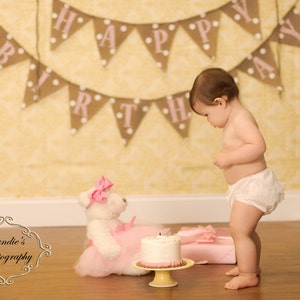 Girl Birthday Banner Polka Dot Birthday