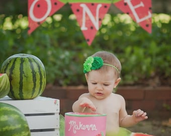 One In A Melon 1st Birthday Watermelon Party Banner Smash Cake Photo Prop