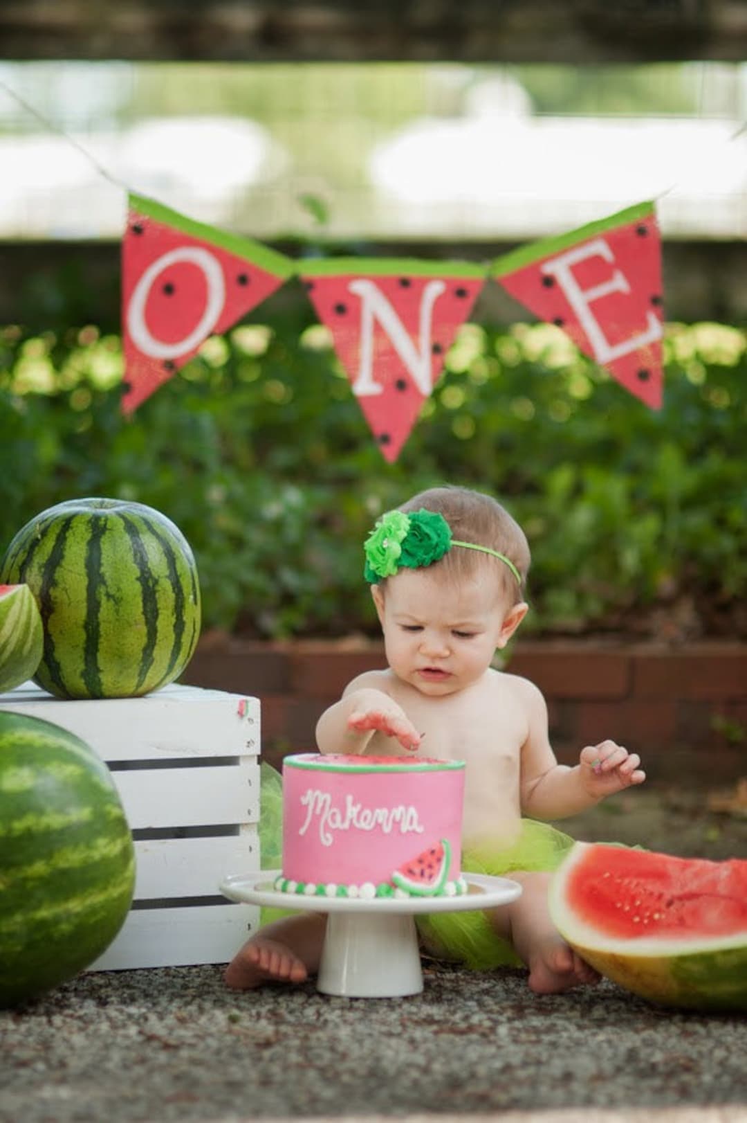 Watermelon First Birthday Party Decorations Watermelon Theme Supplies