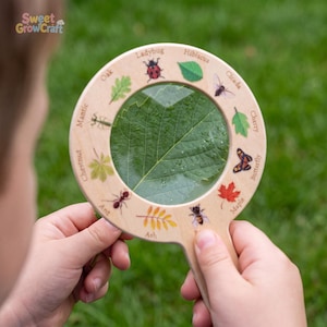 May include: A round wooden magnifying glass featuring illustrations of nature elements including a ladybug, hibiscus, cicada, cherry, butterfly, maple, bee, ash, ant, chestnut, mantis, and oak, with each item labeled in black text around the frame.