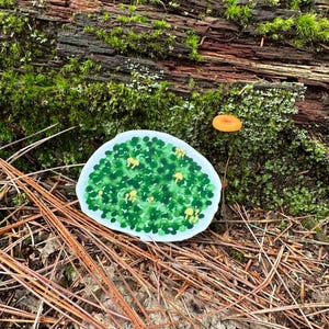 May include: A white, oval-shaped sticker featuring a green and yellow illustration of a cluster of mushrooms. The sticker is placed on a mossy log surrounded by pine needles and a small orange mushroom.