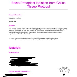 Basic Protoplast Isolation from Callus Tissue Protocol