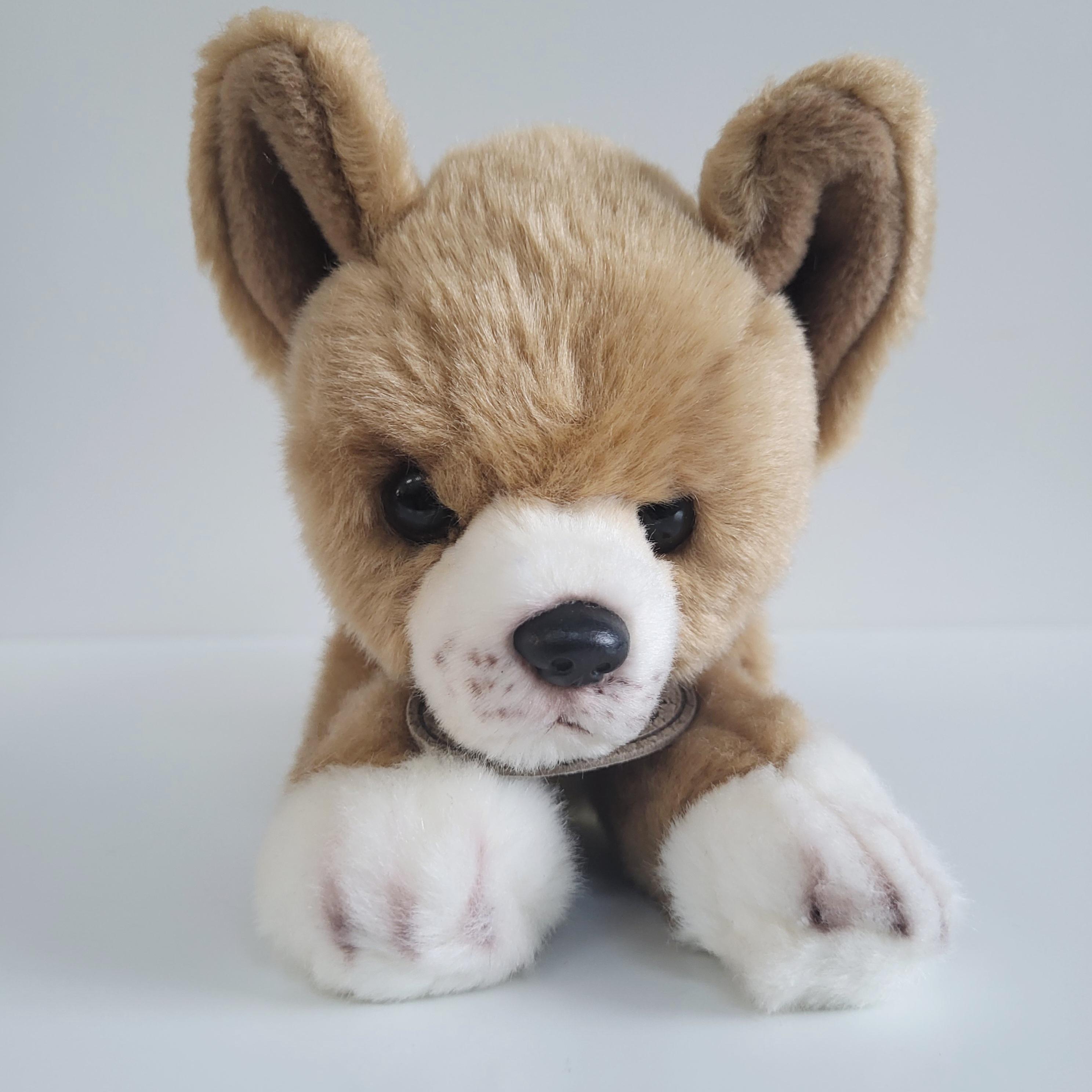 Taco bell plush chihuahua - Etsy 日本