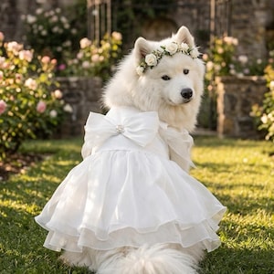 birthday dress for large dog Extra Women's size:Custom Sizing