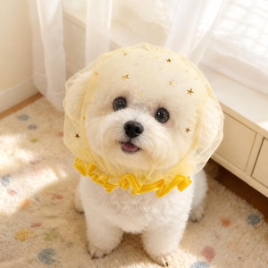 Starry Mesh Face Mask for Small Dogs, Breathable Anti-Scavenging No-Lick Pet Face Cover, Soft Dog Snood Headgear for Walking & Photoshoot