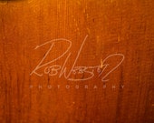 A Vintage Guitar - 9