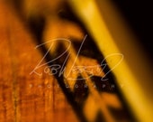 A Vintage Guitar - 12
