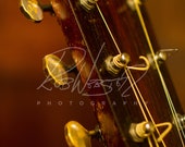 A Vintage Guitar - 14