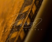 A Vintage Guitar - 15