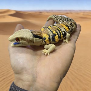 May include: A white ceramic mug with a black handle and the text "But First, Coffee" in a bold, black font. The mug is filled with a dark liquid, likely coffee, and sits on a light-colored surface.