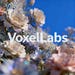 VoxelLabs store logo