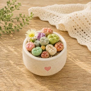 May include: A small, round, off-white ceramic pot with a pink heart design, filled with colorful living stone succulents. The succulents are various shades of green, pink, orange, and beige, with a small white flower. The pot sits on a wooden surface.