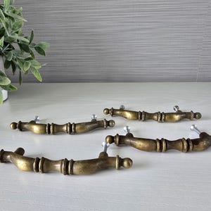 May include: Five antique brass cabinet pulls with silver screws. The pulls have a detailed, ornate design with a warm, aged patina. The hardware is arranged on a white surface, with a green plant in the background.
