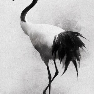 以下が含まれることがあります： モノクロの鶴のイラスト。鳥は長く湾曲した黒い首と白い体を持っています。尾羽は黒です。鶴は片足で立っており、もう片方の足は上げられています。